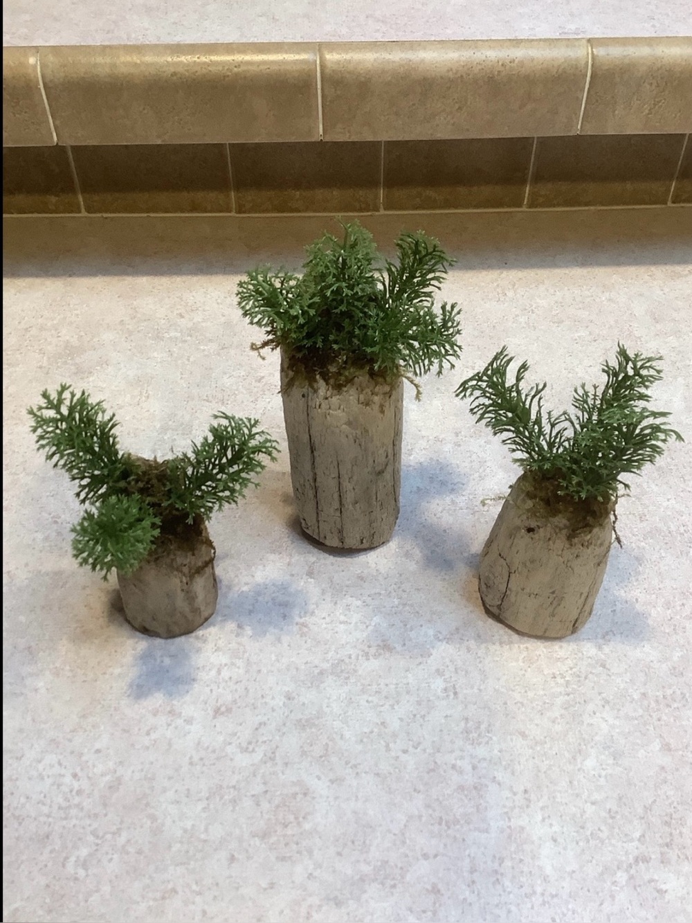 Driftwood Art, Driftwood Faux Plants , Driftwood Faux Greenery Coastal Art